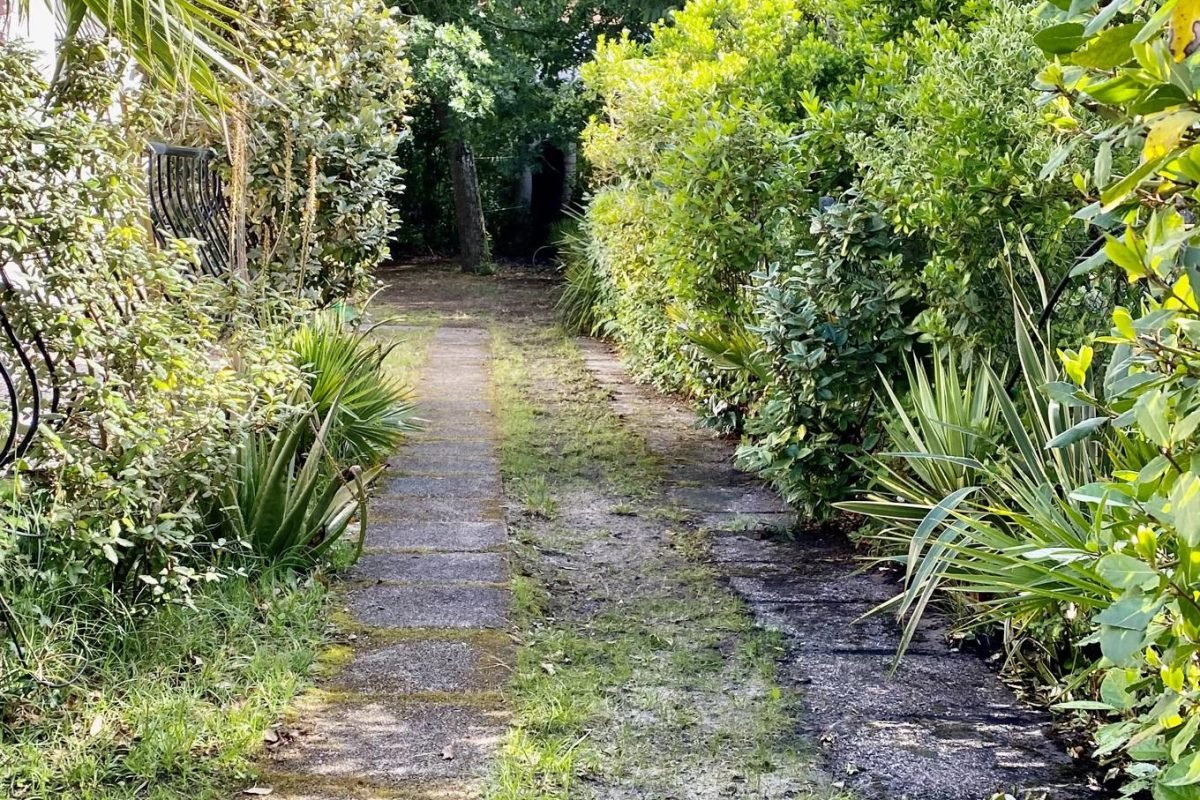 Espace jardin arboré