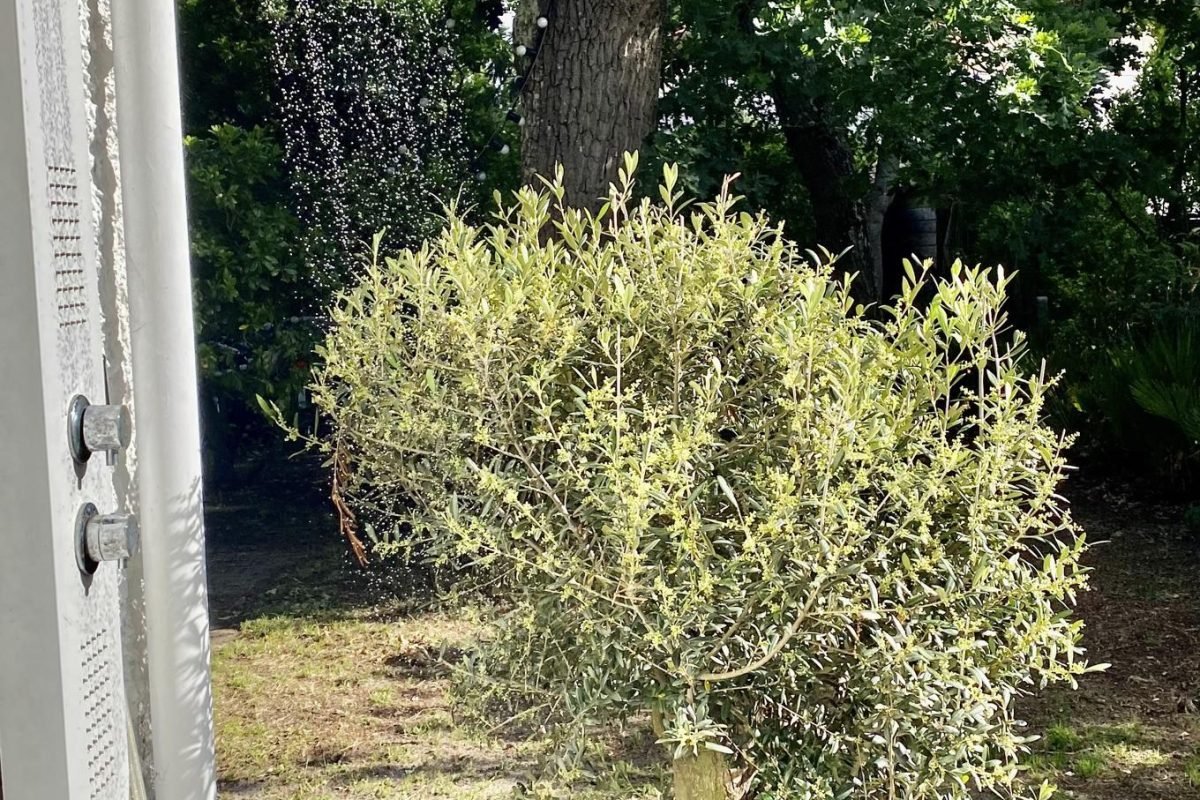 Douche extérieure eau chaude très agréable en revenant de la plage