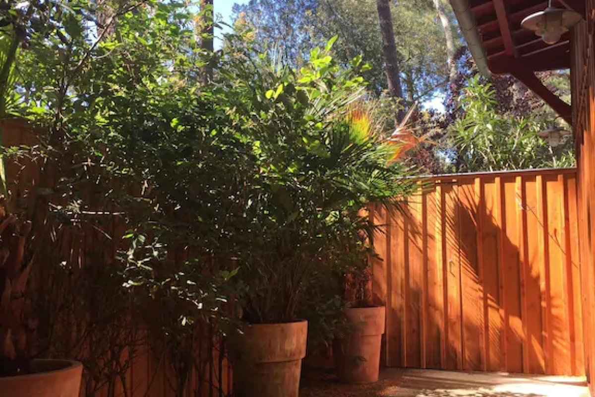 Terrasse donnant sur la chambre 1